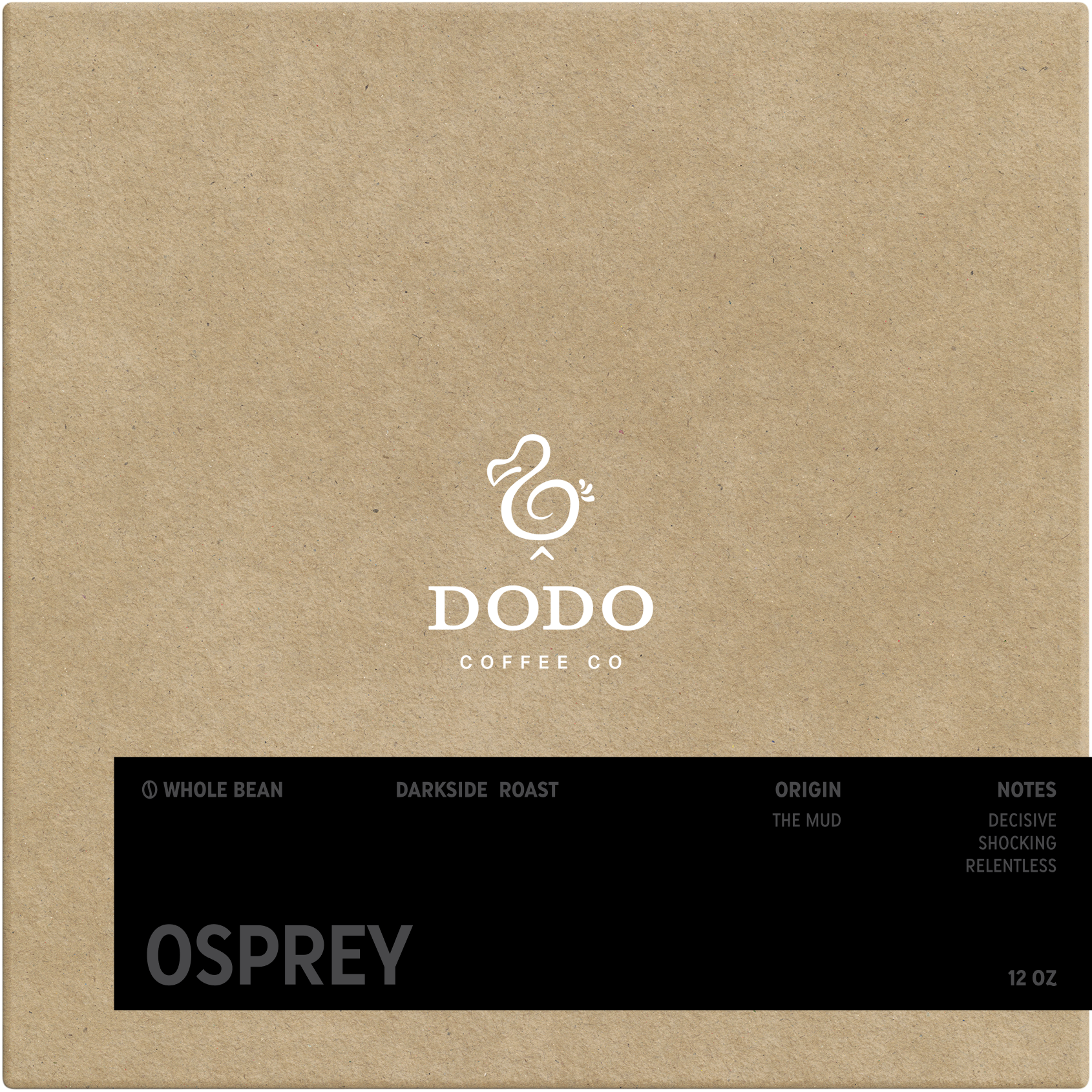 Photo of Osprey