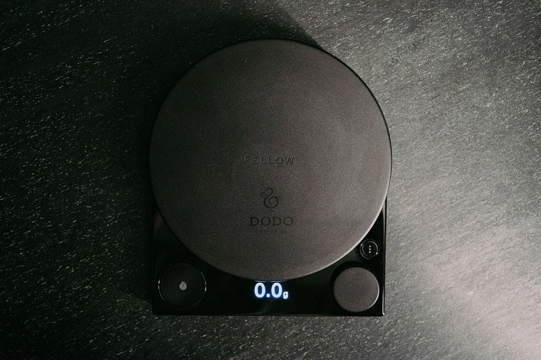 Dodo x Fellow – Dodo Coffee Co