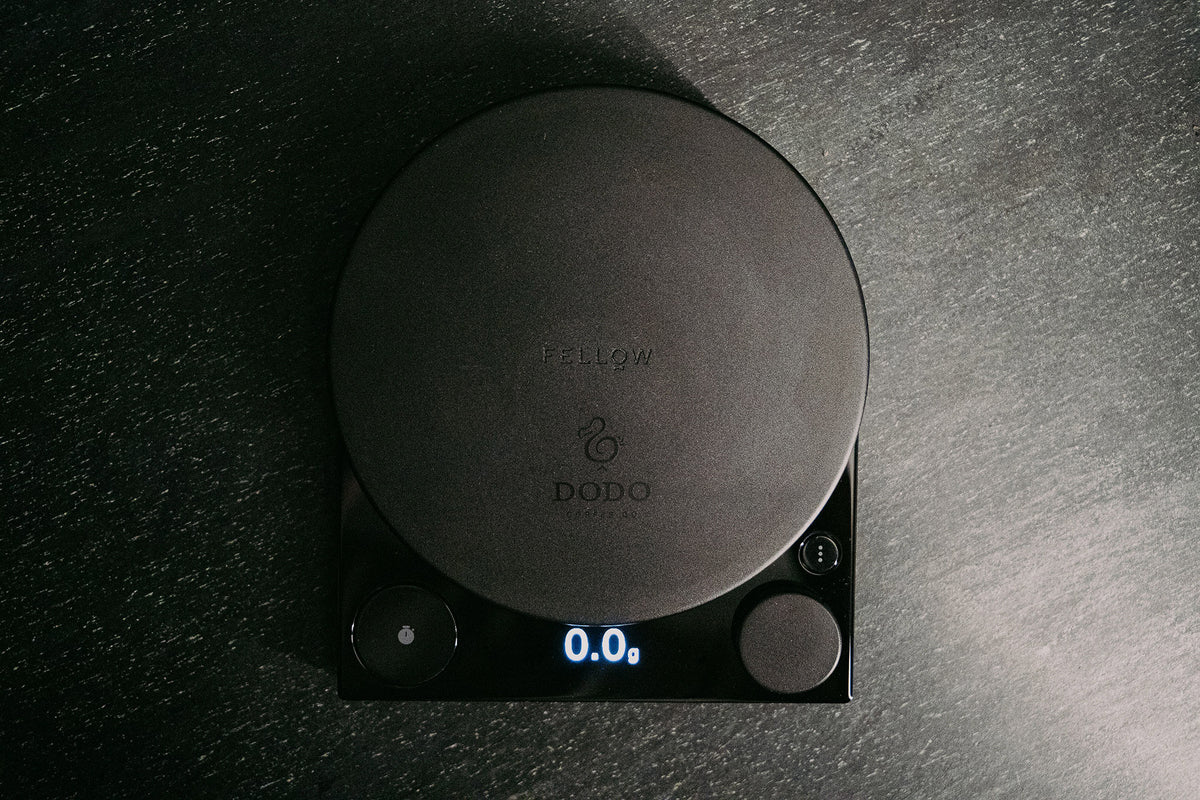 Dodo x Fellow – Dodo Coffee Co